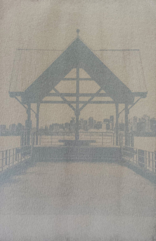 Black Beans Anthotype 2