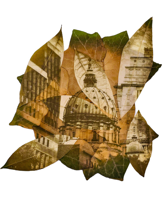 Chlorophyll print on Ivy and money tree leaves -botanical photography merging architectural details and plant texture. Cristina Zaletta- Canada.