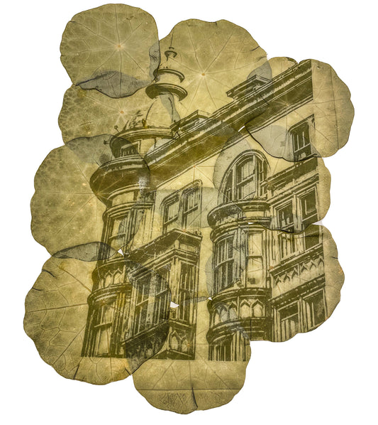 Chlorophyll print on Nasturtium leaves -botanical photography- architectural details . Cristina Zaletta- Canada.