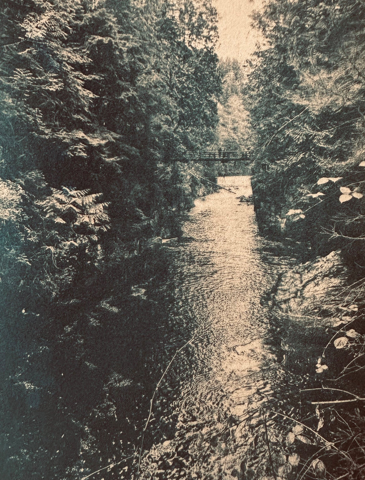 Cyanotype .Deep prussian blues merge with warm, earthy undertones created through an unconventional fenugreek seed toning process, transforming a traditional landscape into something boldly experimental . Cristina Zaletta. Canada