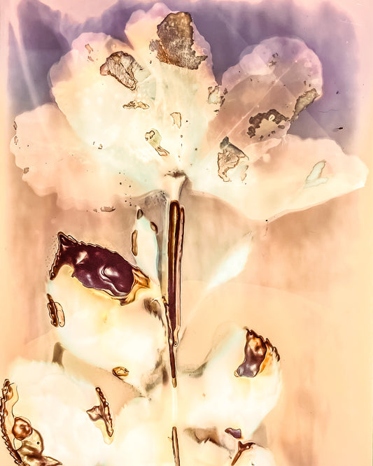 phytogram representing inexistent flowers with artistic practice