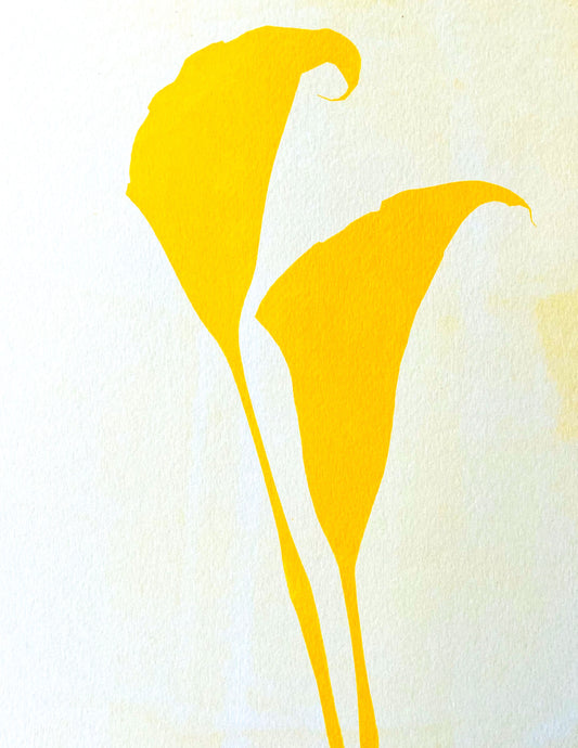 Turmeric Anthotype 1