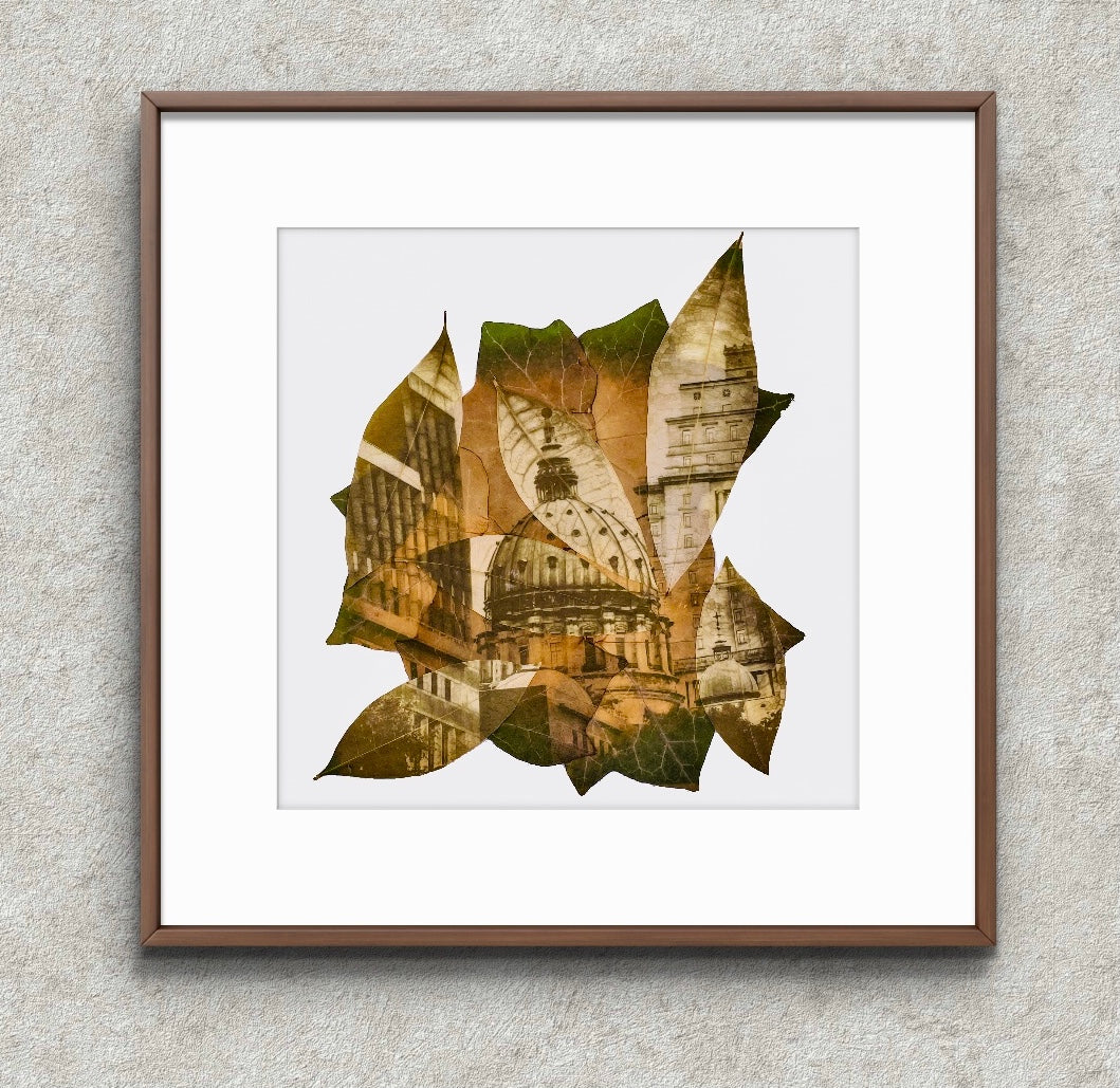 Chlorophyll Print -Domes 1