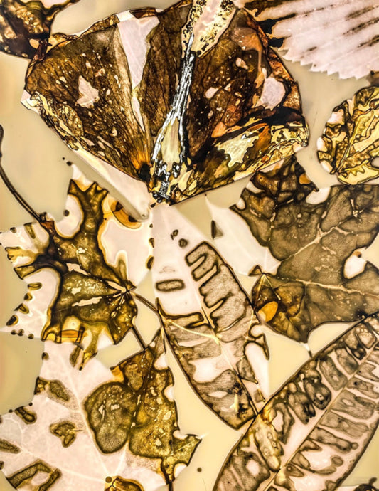 phytogram alternative photography gold leaves and plant cellular structures 