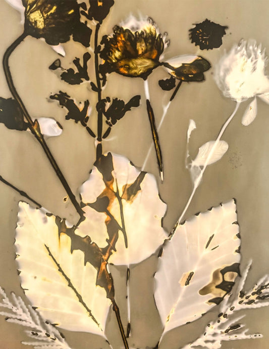 decorative phytogram alternative photography representing botanical structures