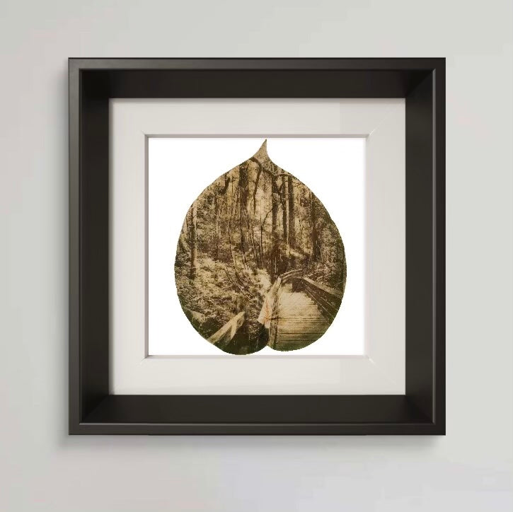 Chlorophyll Print - Trails 1