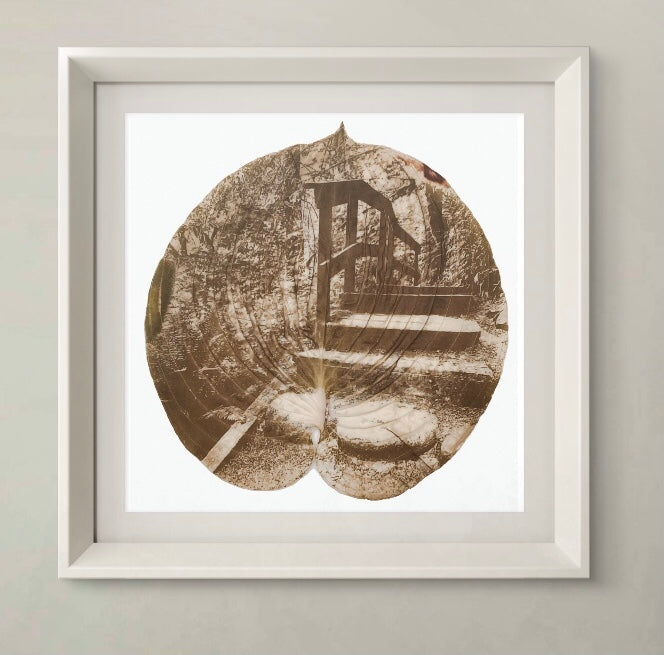 Chlorophyll Print  - Trails 2